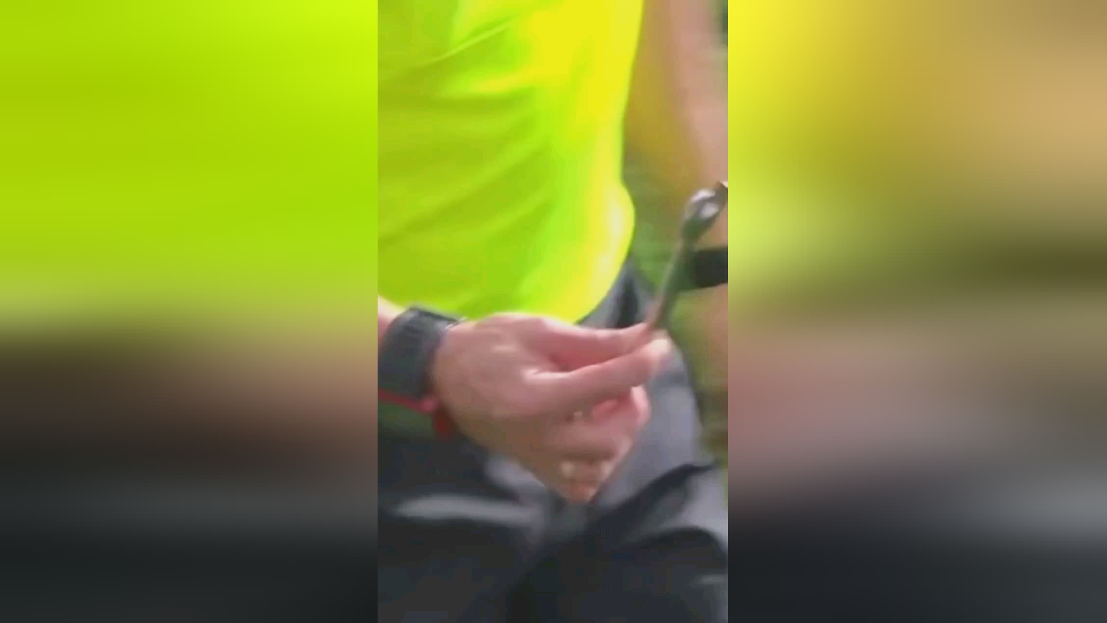 后起之秀